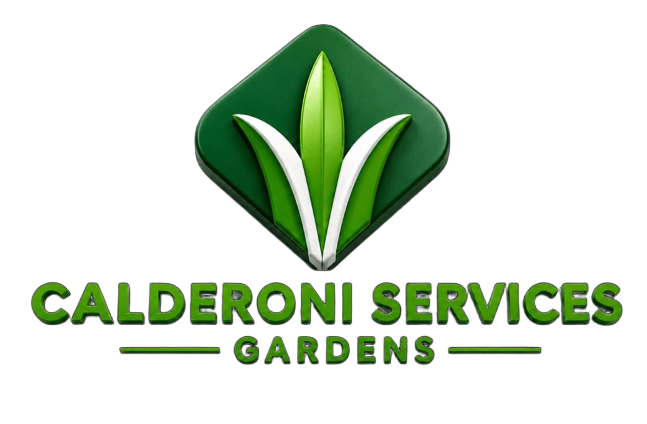 Logo Calderoni Services